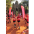 Team 42 / Raid Amazones Cambodge 2018 - J1 Trek