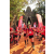 Team 36 / Raid Amazones Cambodge 2018 - J1 Trek