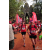 Team 33 / Raid Amazones Cambodge 2018 - J1 Trek