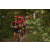 Team 12 / Raid Amazones Cambodge 2018 - J1 Trek