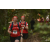 Team 14 / Raid Amazones Cambodge 2018 - J1 Trek
