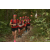 Team 119 / Raid Amazones Cambodge 2018 - J1 Trek