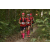 Team 31 / Raid Amazones Cambodge 2018 - J1 Trek