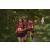 Team 36 / Raid Amazones Cambodge 2018 - J1 Trek