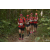Team 39 / Raid Amazones Cambodge 2018 - J1 Trek