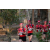Team 13 / Raid Amazones Cambodge 2018 - J1 Trek