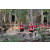 Team 14 / Raid Amazones Cambodge 2018 - J1 Trek