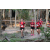 Team 119 / Raid Amazones Cambodge 2018 - J1 Trek