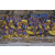 Raid Amazones Cambodge 2018 - J2 Canoe