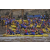 Raid Amazones Cambodge 2018 - J2 Canoe