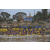 Raid Amazones Cambodge 2018 - J2 Canoe