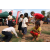 Raid Amazones Cambodge 2018 - J2 Canoe