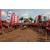 Raid Amazones Cambodge 2018 - J2 Canoe