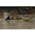 Raid Amazones Cambodge 2018 - J2 Canoe