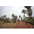 Raid Amazones Cambodge 2018 - J3 VTT