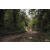 Raid Amazones Cambodge 2018 - J3 VTT