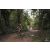 Team 108 / Raid Amazones Cambodge 2018 - J3 VTT