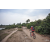 Raid Amazones Cambodge 2018 - J3 VTT
