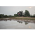 Raid Amazones Cambodge 2018 - J3 VTT