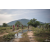 Raid Amazones Cambodge 2018 - J3 VTT