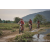 Team 122 / Raid Amazones Cambodge 2018 - J3 VTT