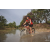 Team 48 / Raid Amazones Cambodge 2018 - J3 VTT