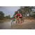 Team 48 / Raid Amazones Cambodge 2018 - J3 VTT