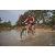 Team 160 / Raid Amazones Cambodge 2018 - J3 VTT