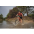 Team 13 / Raid Amazones Cambodge 2018 - J3 VTT