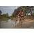 Team 109 / Raid Amazones Cambodge 2018 - J3 VTT