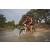 Team 109 / Raid Amazones Cambodge 2018 - J3 VTT