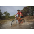 Team 109 / Raid Amazones Cambodge 2018 - J3 VTT