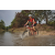 Team 101 / Raid Amazones Cambodge 2018 - J3 VTT
