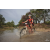Team 135 / Raid Amazones Cambodge 2018 - J3 VTT