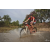 Team 135 / Raid Amazones Cambodge 2018 - J3 VTT