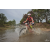 Team 37 / Raid Amazones Cambodge 2018 - J3 VTT