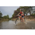Team 107 / Raid Amazones Cambodge 2018 - J3 VTT