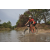 Team 113 / Raid Amazones Cambodge 2018 - J3 VTT