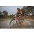 Team 12 / Raid Amazones Cambodge 2018 - J3 VTT