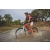 Team 12 / Raid Amazones Cambodge 2018 - J3 VTT