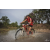 Team 103 / Raid Amazones Cambodge 2018 - J3 VTT