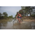 Team 09 / Raid Amazones Cambodge 2018 - J3 VTT