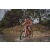 Team 09 / Raid Amazones Cambodge 2018 - J3 VTT