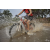 Raid Amazones Cambodge 2018 - J3 VTT