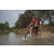 Team 119 / Raid Amazones Cambodge 2018 - J3 VTT