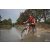 Team 119 / Raid Amazones Cambodge 2018 - J3 VTT