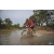 Team 149 / Raid Amazones Cambodge 2018 - J3 VTT