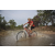 Team 149 / Raid Amazones Cambodge 2018 - J3 VTT