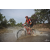 Team 17 / Raid Amazones Cambodge 2018 - J3 VTT