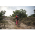 Team 31 / Raid Amazones Cambodge 2018 - J3 VTT
